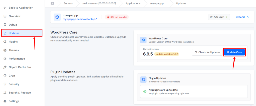 Update core version from WP Toolkit - Upgrade WordPress Version