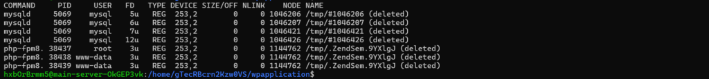 Find Deleted Files