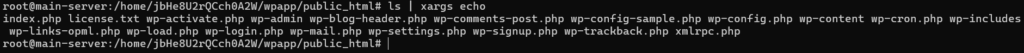 echo command - Pipes vs xargs