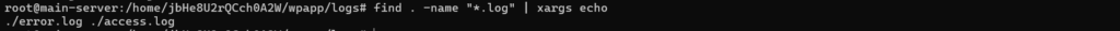 find and echo command - Pipes vs xargs