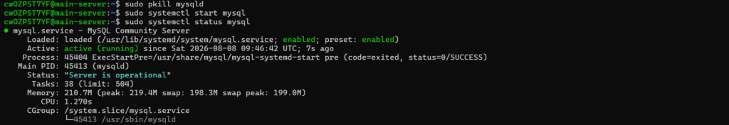 Check MySQL Status