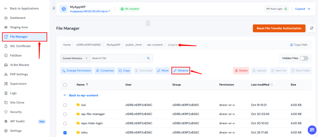Rename file in ServerAvatar